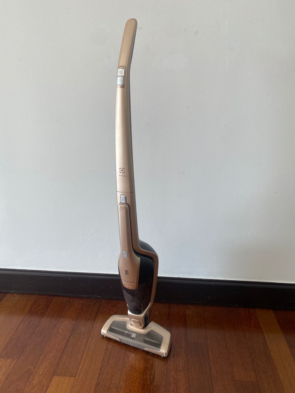 Electrolux Ergorapido Cordless Vacuum Unearth Store