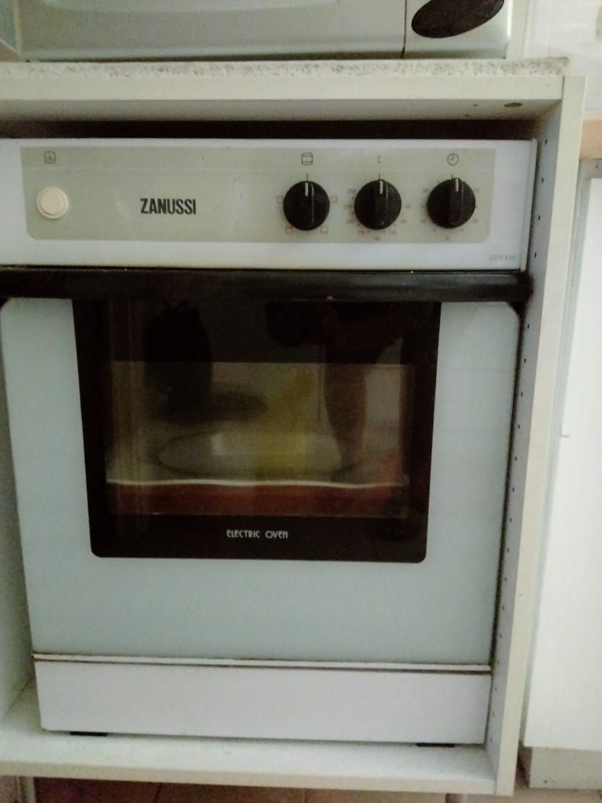 Zanussi Electric Oven Unearth Store