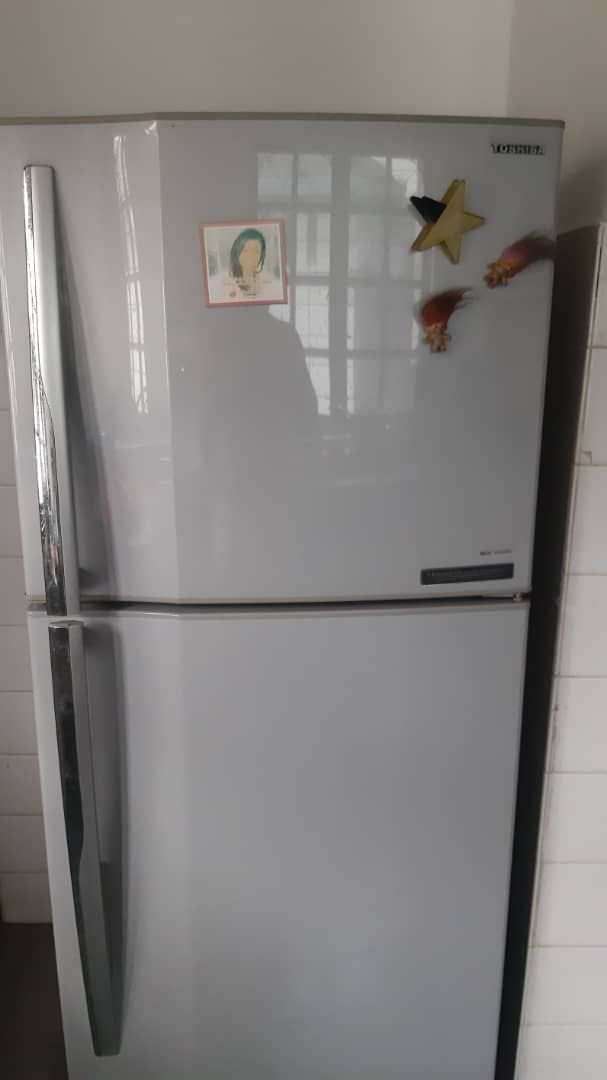 Toshiba 2-door Refrigerator - Unearth Store